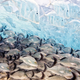 Illustration for article titled Sneak a Peek at the Years Best Wildlife Photography